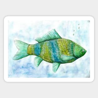 Fish spirit animal Sticker